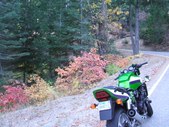 Enlarge photo 22