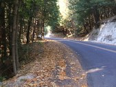 Enlarge photo 19