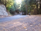 Enlarge photo 16