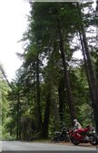 Enlarge photo 9