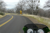 Enlarge photo 20