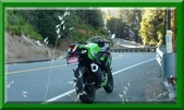Enlarge photo 16