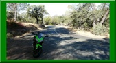 Enlarge photo 23