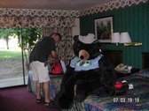 Enlarge photo 5