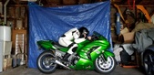 Enlarge photo 12