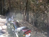 Enlarge photo 3