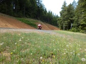 Enlarge photo 2
