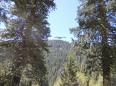 Enlarge photo 13