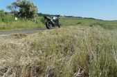 Enlarge photo 16