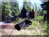 Enlarge photo 16