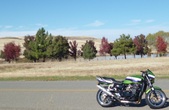 Enlarge photo 3
