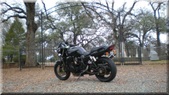Enlarge photo 9