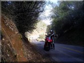 Enlarge photo 12