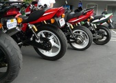 Enlarge photo 24