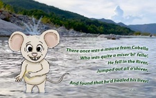 Enlarge photo 13