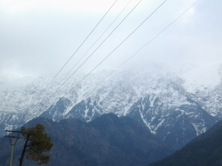 Enlarge photo 6