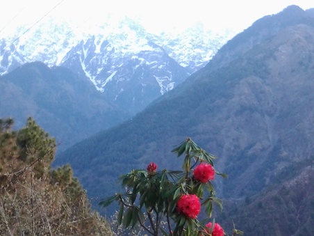 Enlarge photo 7