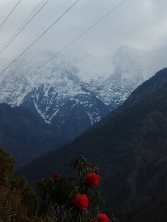 Enlarge photo 8