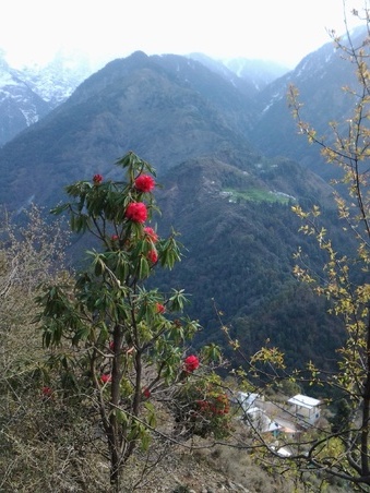 Enlarge photo 9