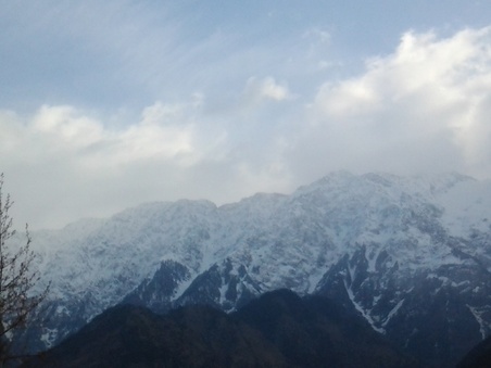 Enlarge photo 10