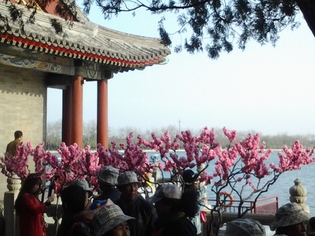 Enlarge photo 11