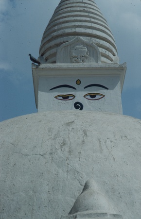 Enlarge photo 9