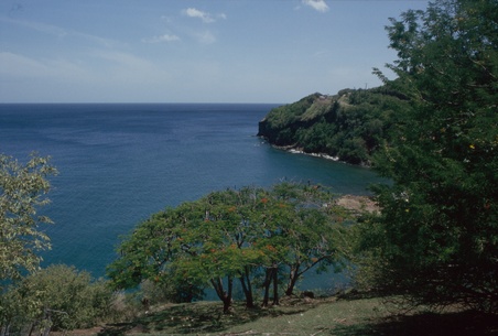 Enlarge photo 36
