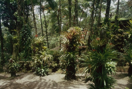 Enlarge photo 8
