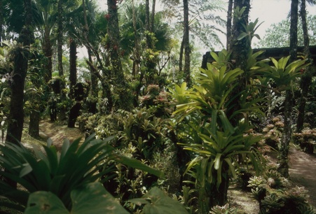 Enlarge photo 9