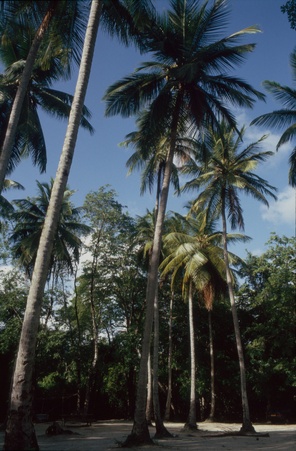 Enlarge photo 21