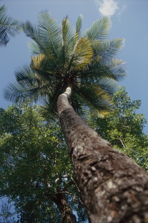 Enlarge photo 22