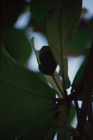 Enlarge photo 24