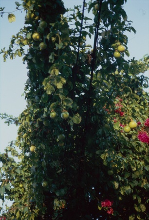 Enlarge photo 28