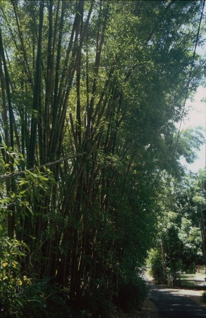 Enlarge photo 29