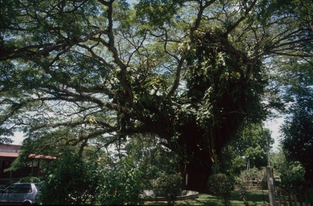 Enlarge photo 32