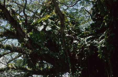 Enlarge photo 33