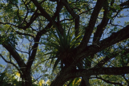Enlarge photo 34