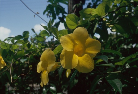 Enlarge photo 36