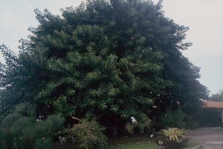 Enlarge photo 39