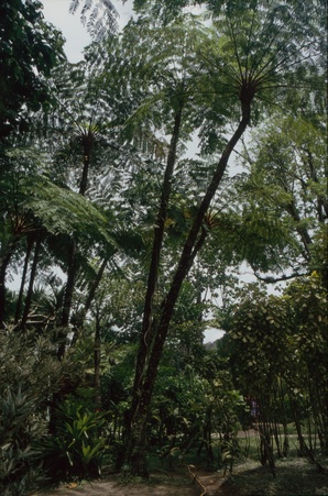 Enlarge photo 46