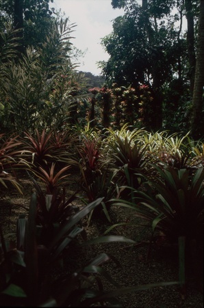 Enlarge photo 49