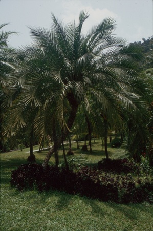 Enlarge photo 55