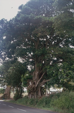 Enlarge photo 61