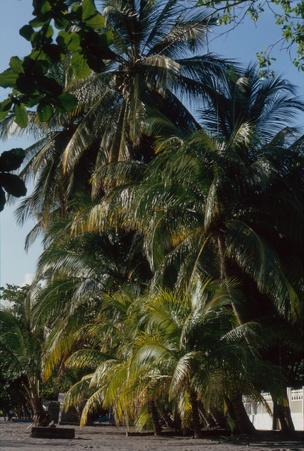 Enlarge photo 62