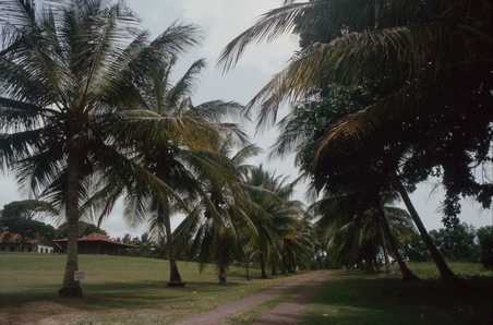 Enlarge photo 66