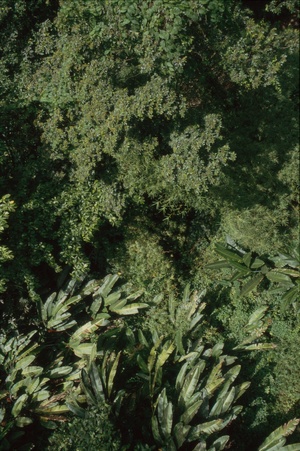 Enlarge photo 73