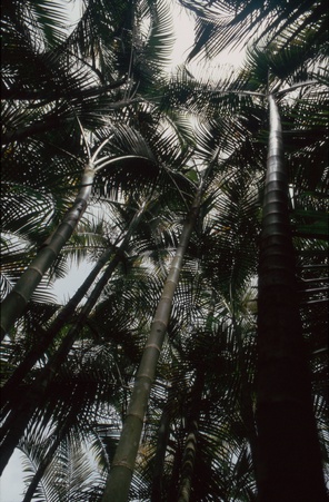 Enlarge photo 80