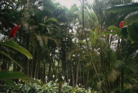 Enlarge photo 82