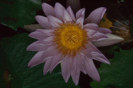 Enlarge photo 94
