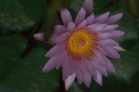 Enlarge photo 95
